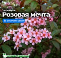 Питомник Омский Садовод