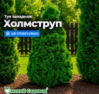 Питомник Омский Садовод