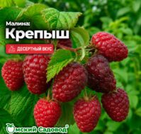Питомник Омский Садовод