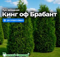 Питомник Омский Садовод