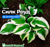 Питомник Омский Садовод