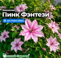 Питомник Омский Садовод