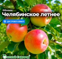 Питомник Омский Садовод