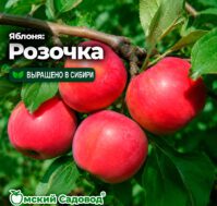 Питомник Омский Садовод