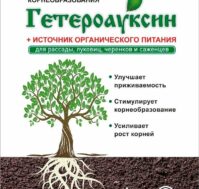 Питомник Омский Садовод