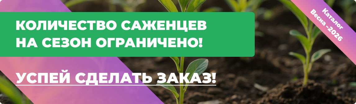 кол-во ограничено