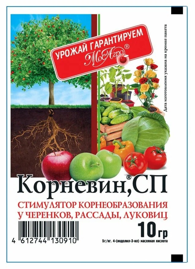 Корневин, 10 г. МосАгро. Питомник Омский Садовод