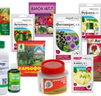 От насекомых