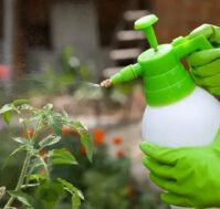 От болезней