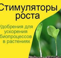 Стимуляторы