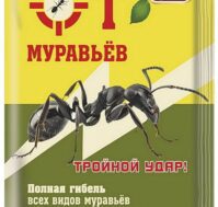 От муравьёв, 25 гр. Питомник Омский Садовод
