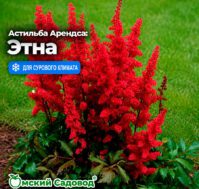 Питомник Омский Садовод