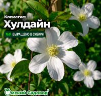 Питомник Омский Садовод