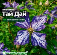 Питомник Омский Садовод
