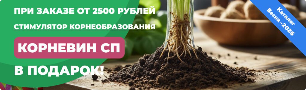 Подарок от 2500 руб. Саженцы - Подарок от 2500 руб.. Питомник Омский Садовод.