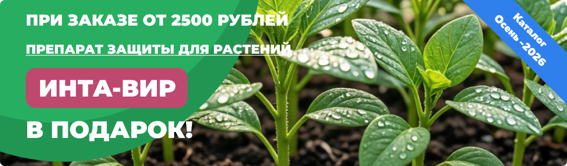 интавир