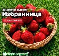 Питомник Омский Садовод