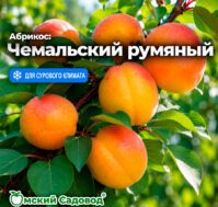 Питомник Омский Садовод