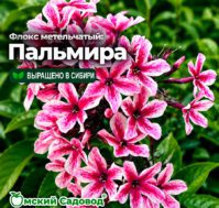 Питомник Омский Садовод