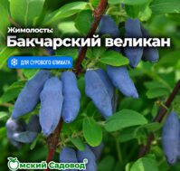 Питомник Омский Садовод