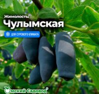 Питомник Омский Садовод