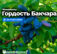 Питомник Омский Садовод