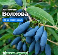 Питомник Омский Садовод