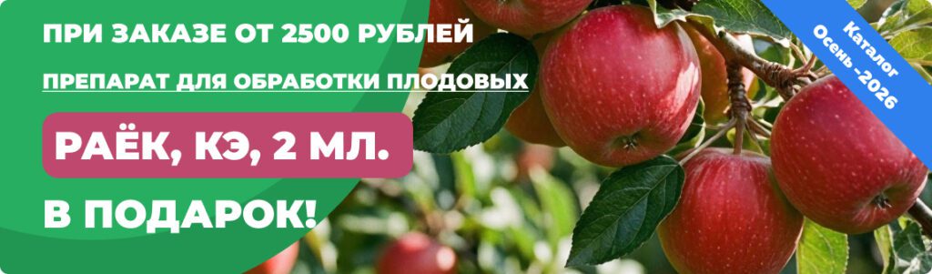 Саженцы - Подарок от 2500 руб.. Питомник Омский Садовод.